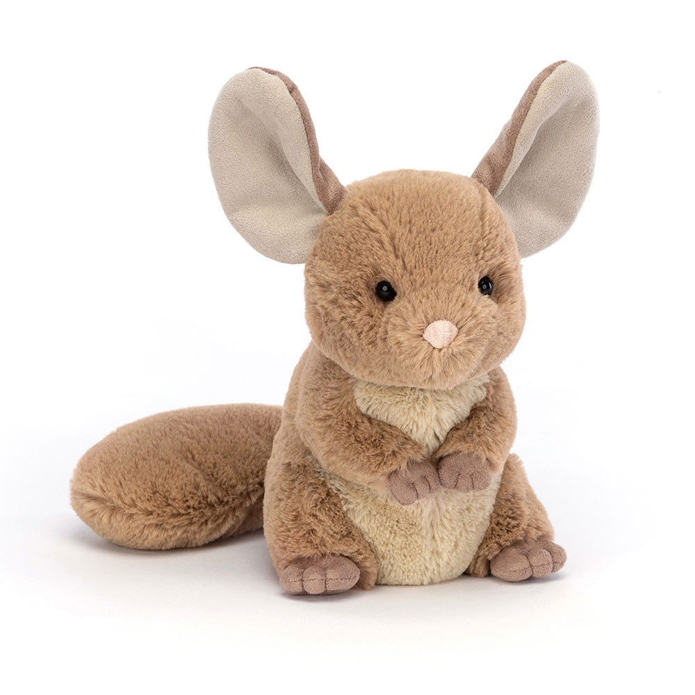 Chandler Chinchilla, Main View