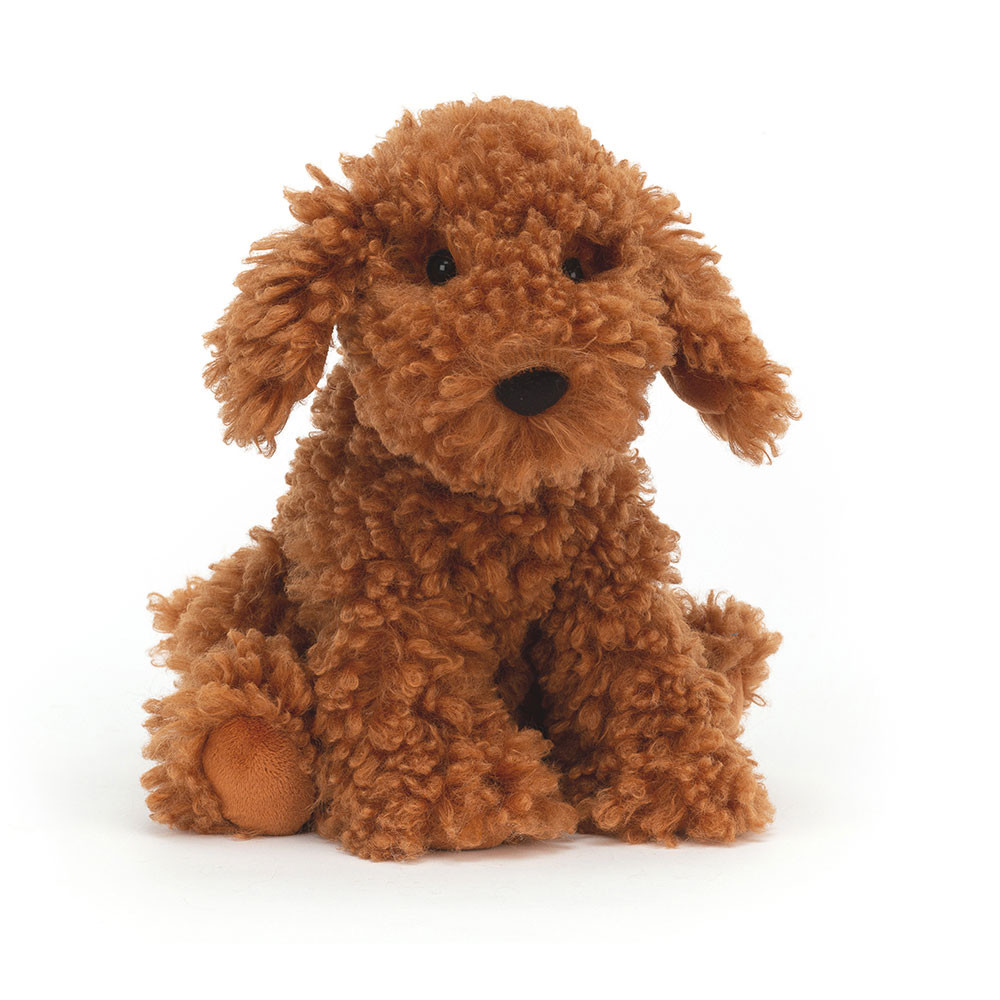 Cooper Doodle Dog, Main View