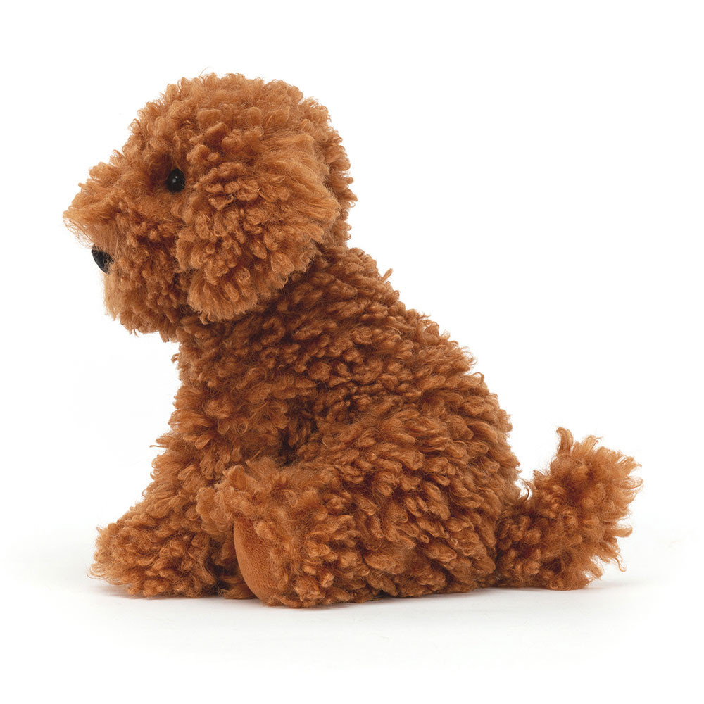 Cooper Doodle Dog, View 2