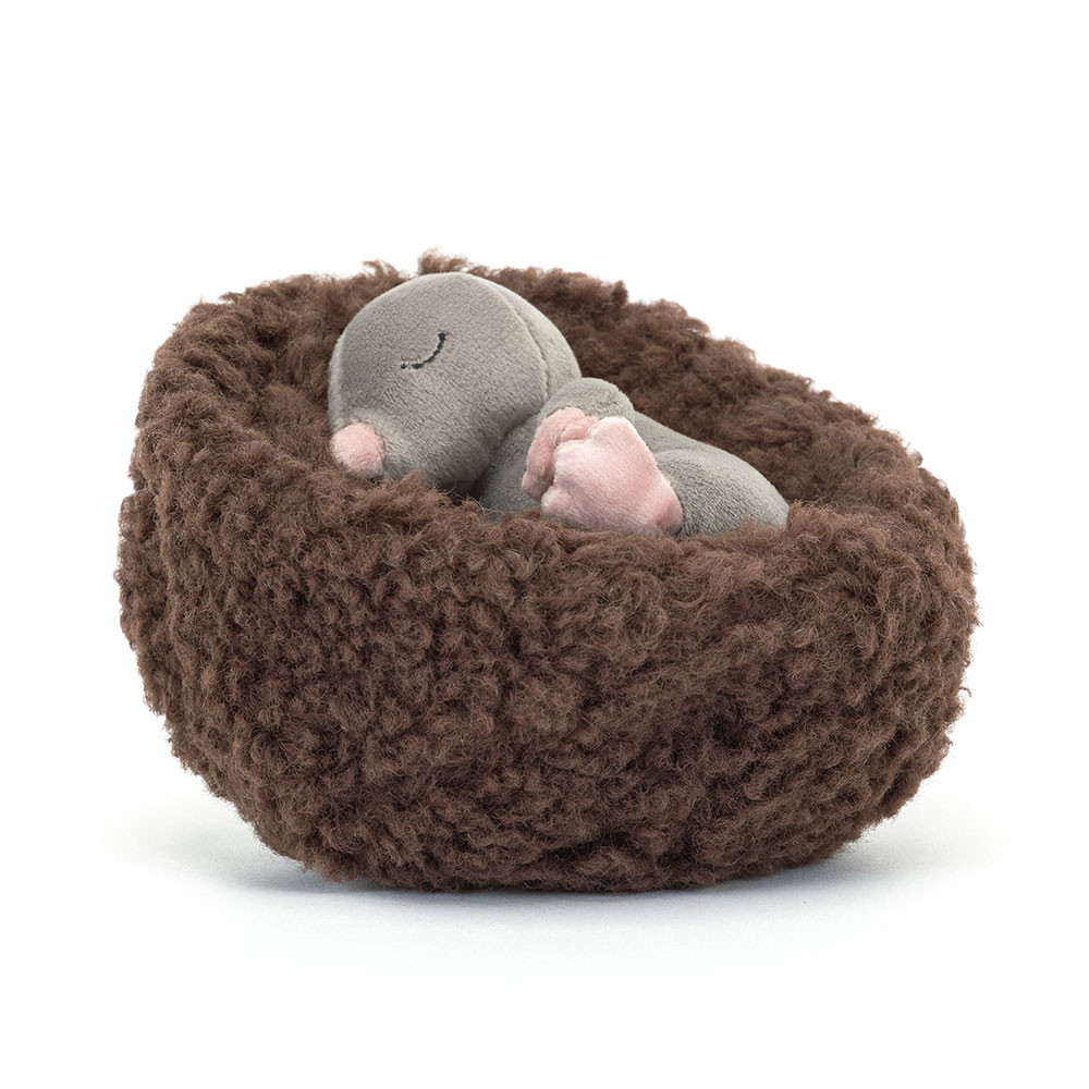 Hibernating Mole, Main View