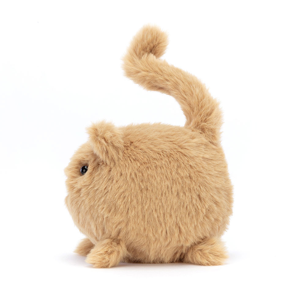 Kitten Caboodle Ginger, Main View