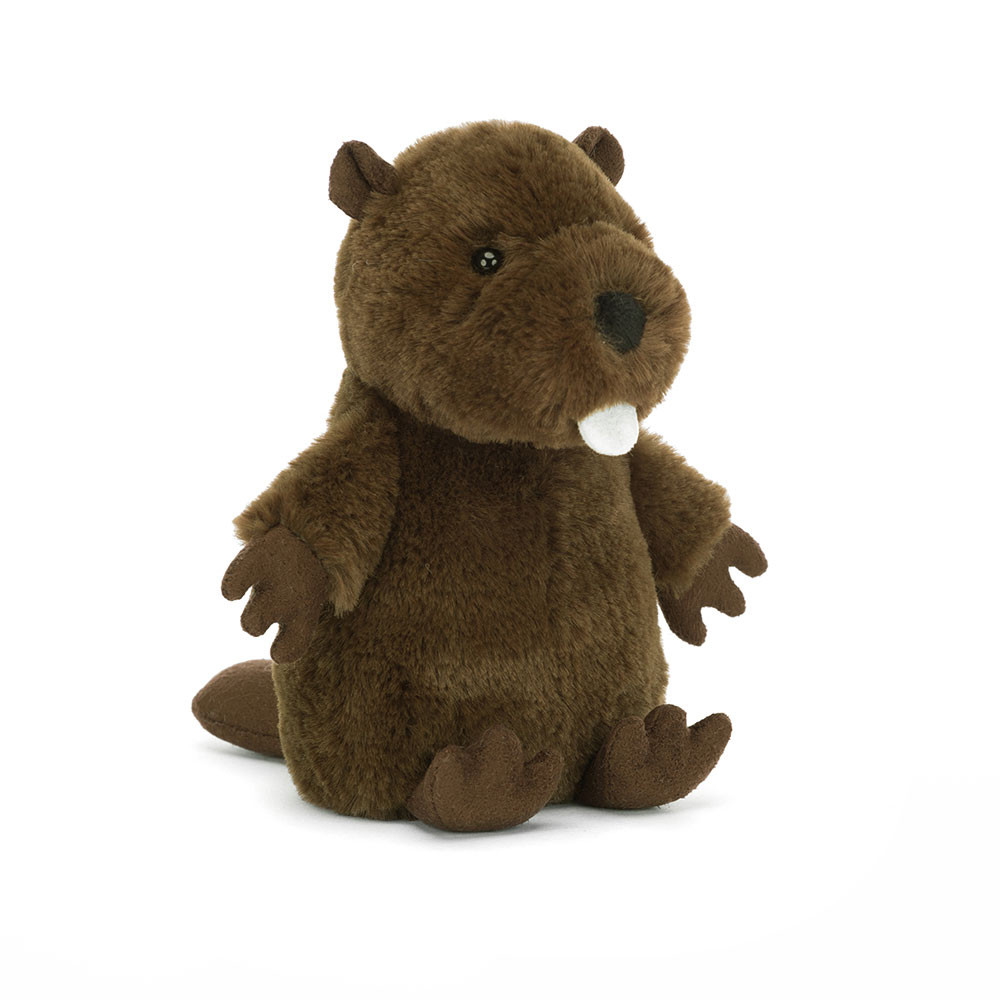 Nippit Beaver, Main View