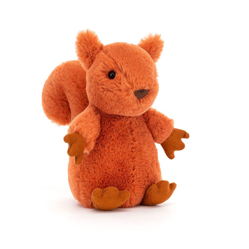 Nippit Squirrel, Main View