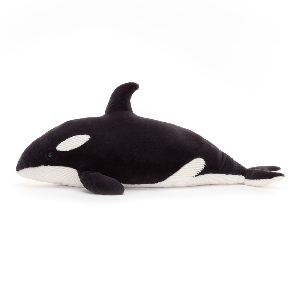 Ollivander the Orca, View 2