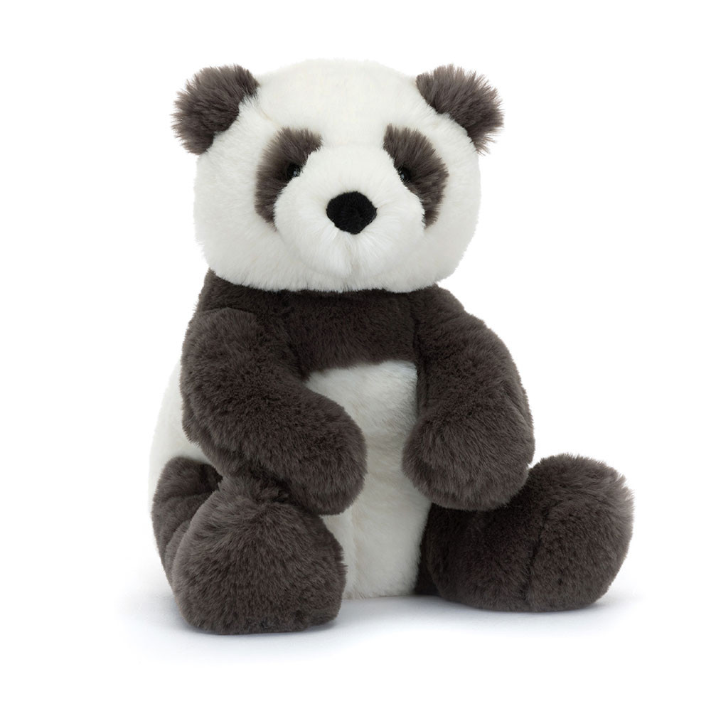 If I Were A Panda Book and Harry Panda Cub, View 3