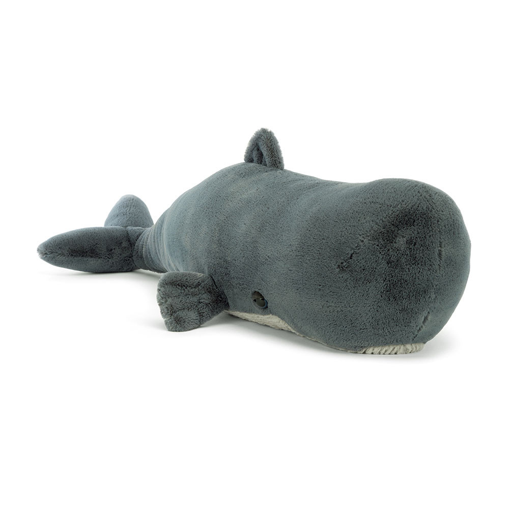 Sullivan the Sperm Whale, Main View