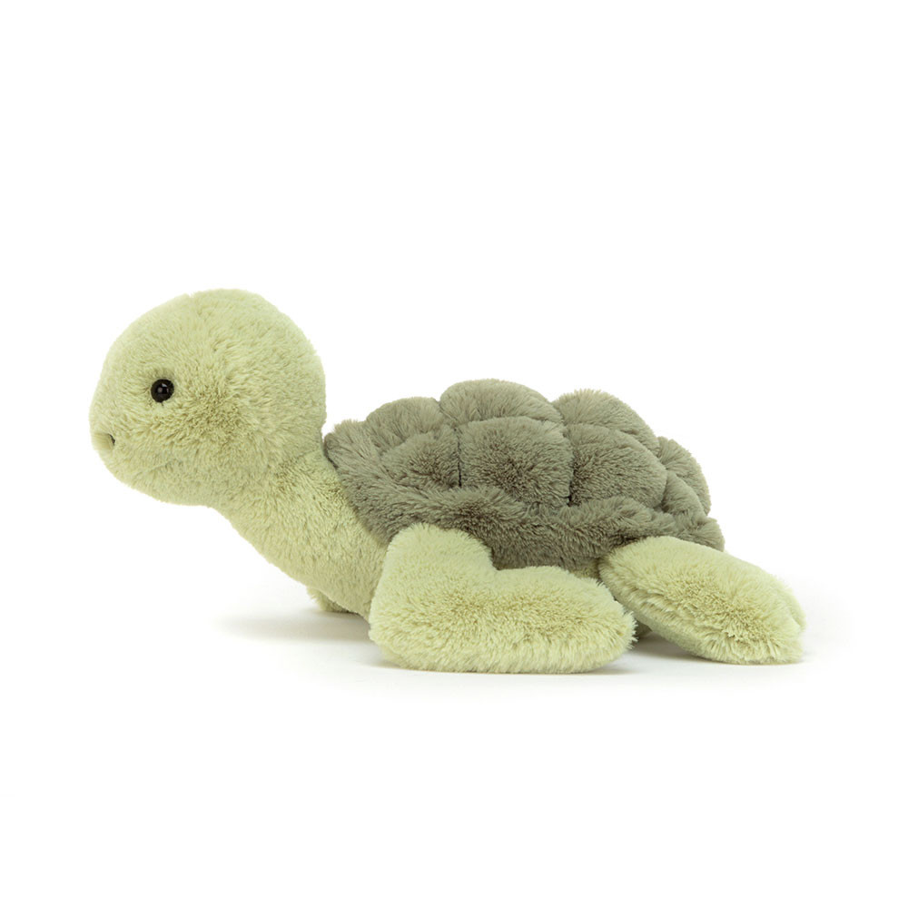 Tully Turtle, Main View