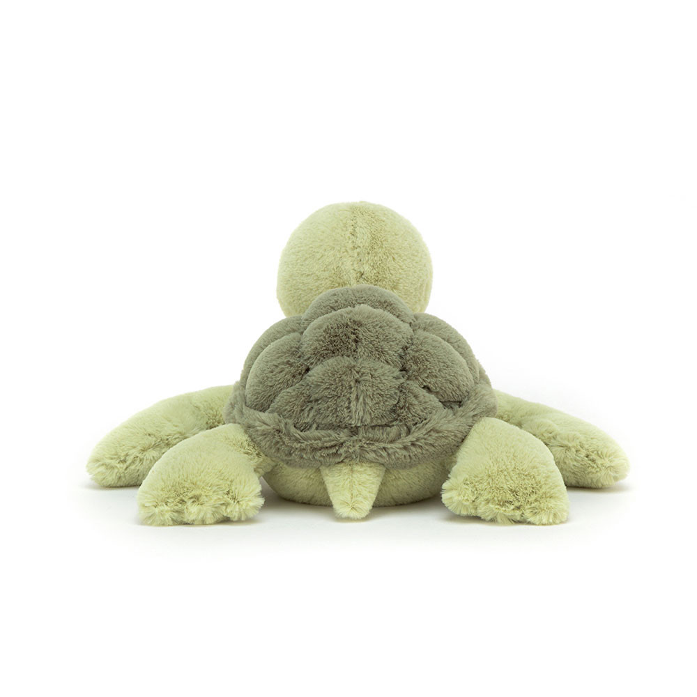 Tully Turtle, View 2