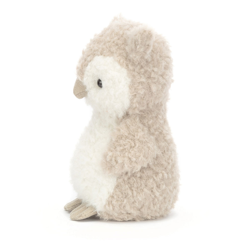Wee Owl, View 2