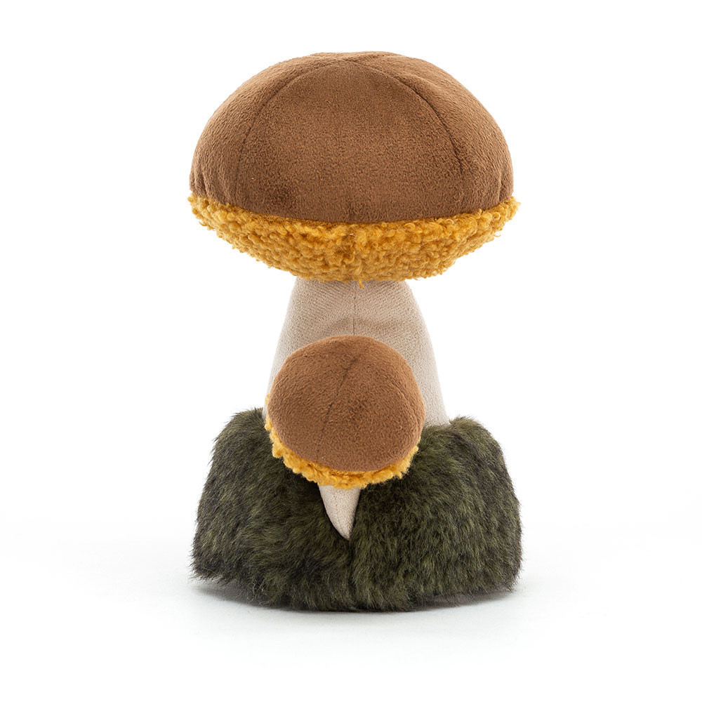Wild Nature Boletus Mushroom, View 3