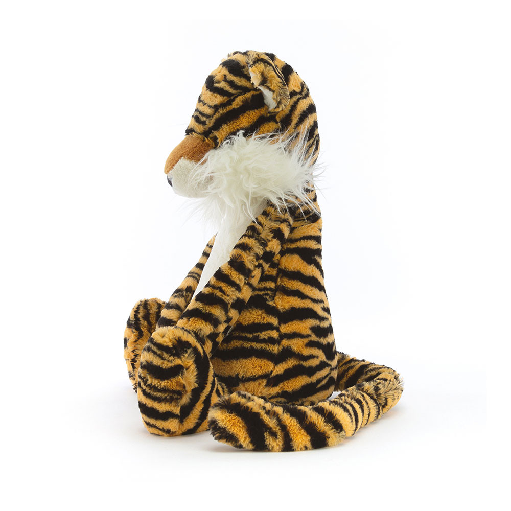 Bashful Tiger Big, Main View
