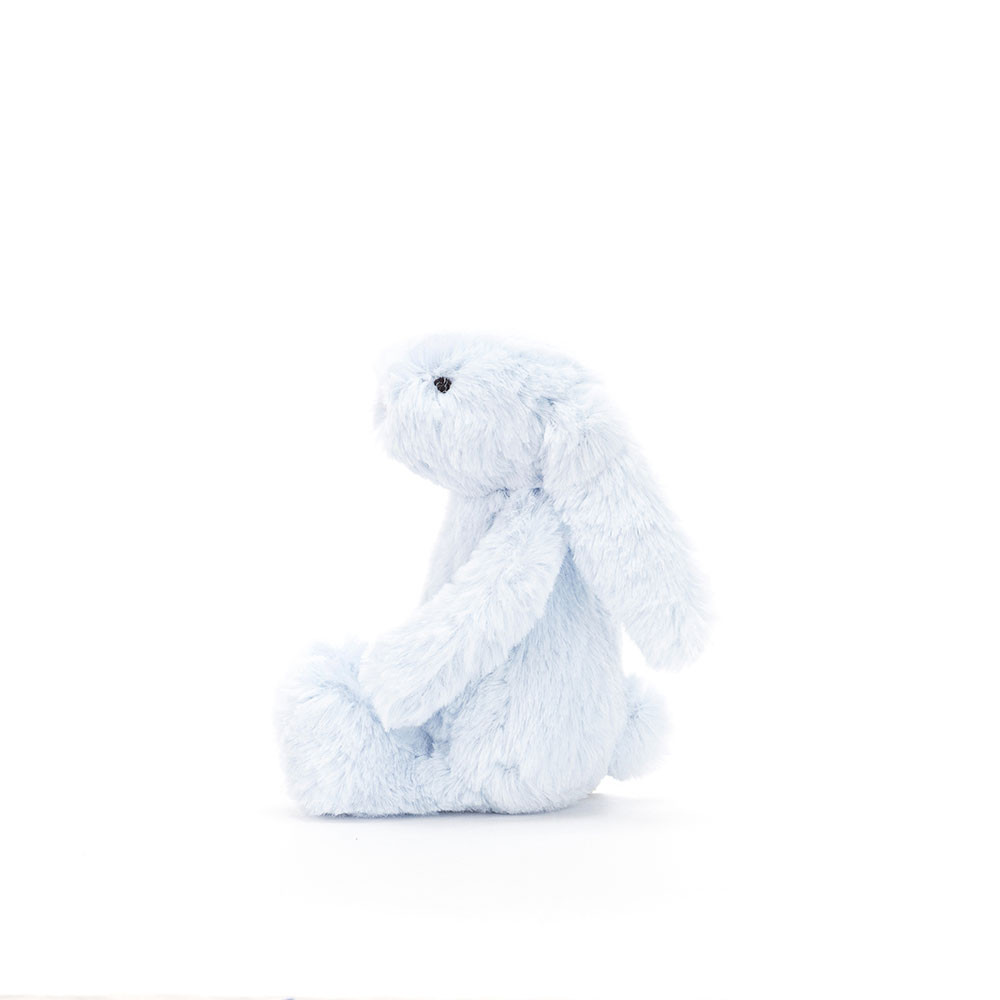 Bashful Blue Bunny Tiny, Main View