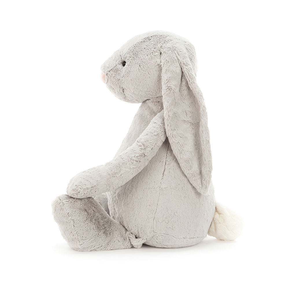 Bashful Silver Bunny Giant, Main View