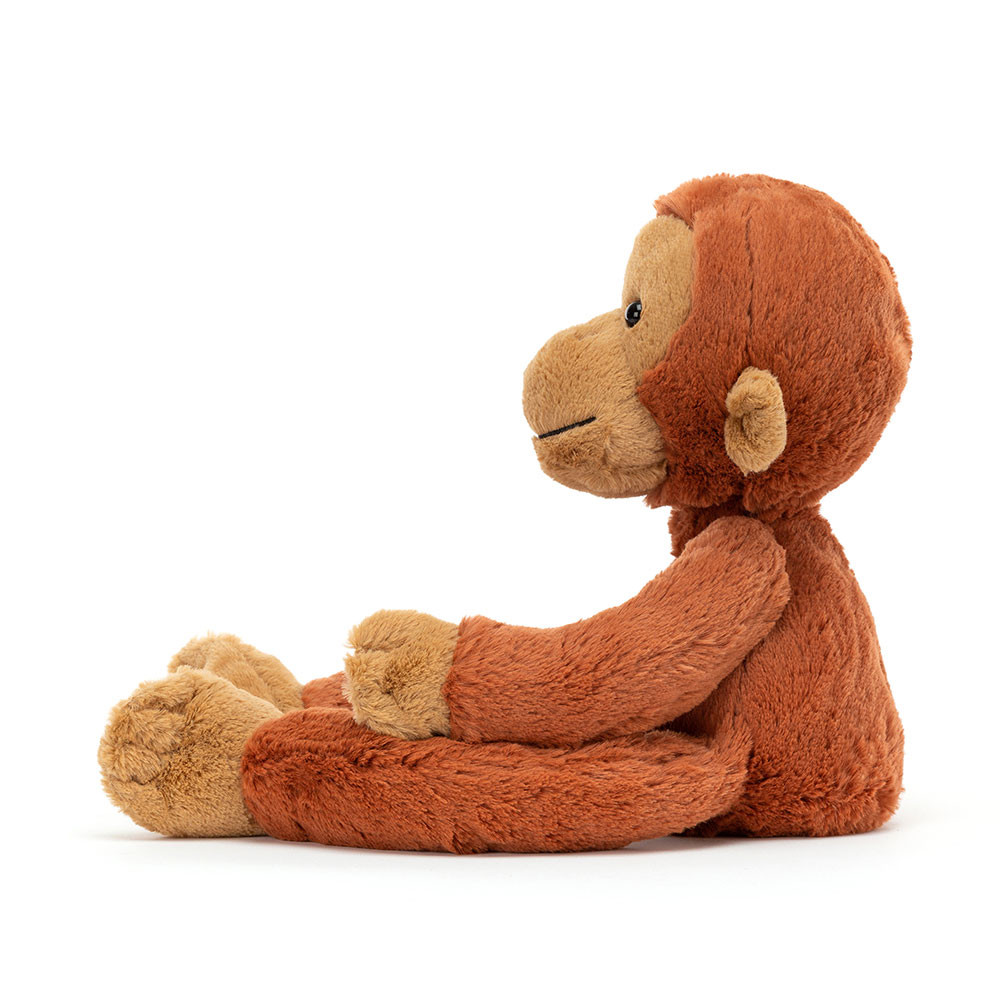 Pongo Orangutan, Main View