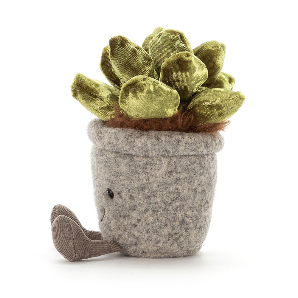 Silly Succulent Jade, View 2