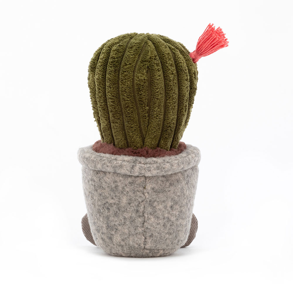 Silly Succulent Barrel Cactus, View 3