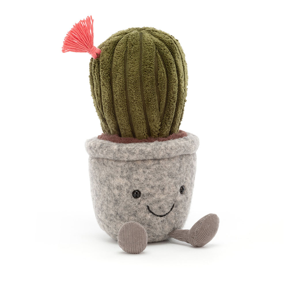 Silly Succulent Barrel Cactus, Main View