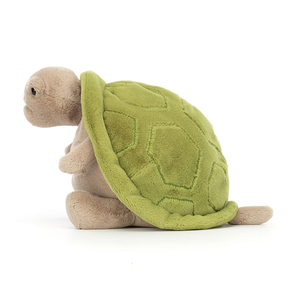 Timmy Turtle, View 2