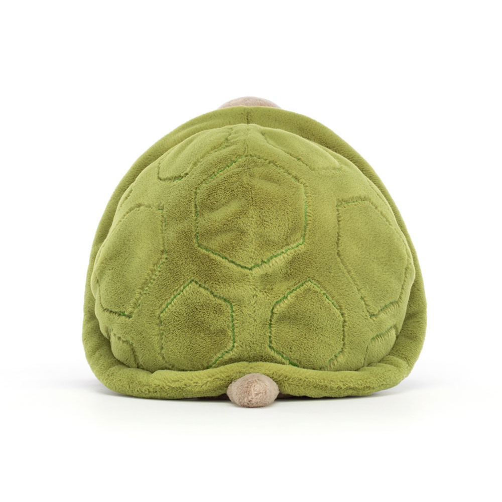 Timmy Turtle, View 3