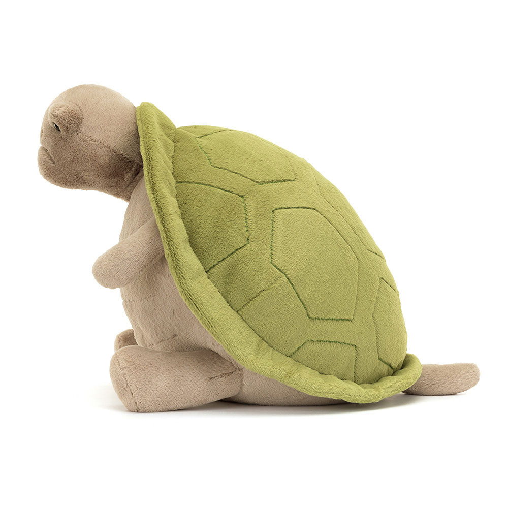 Timmy Turtle Big, View 2