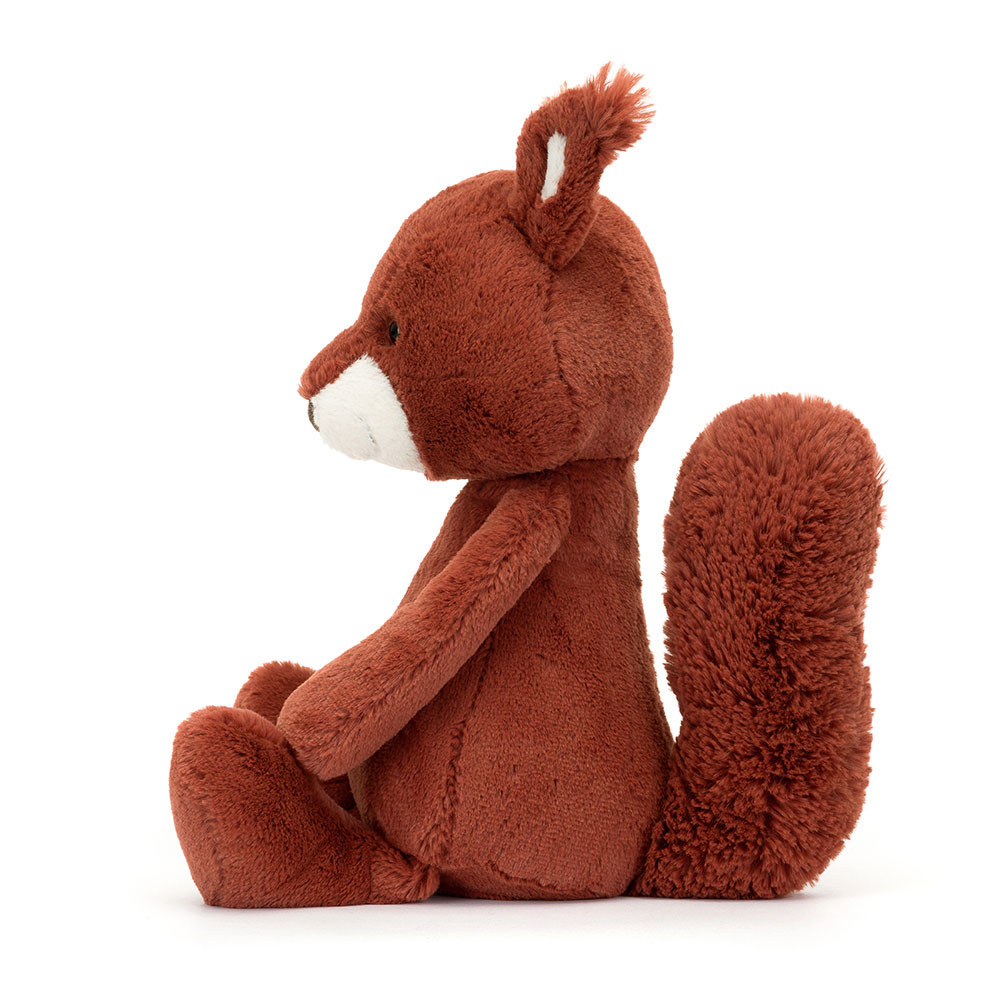 Bashful Squirrel, View 2