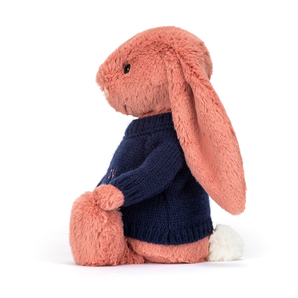 Bashful Sorrel Bunny with Personalised Navy Jumper, View 3