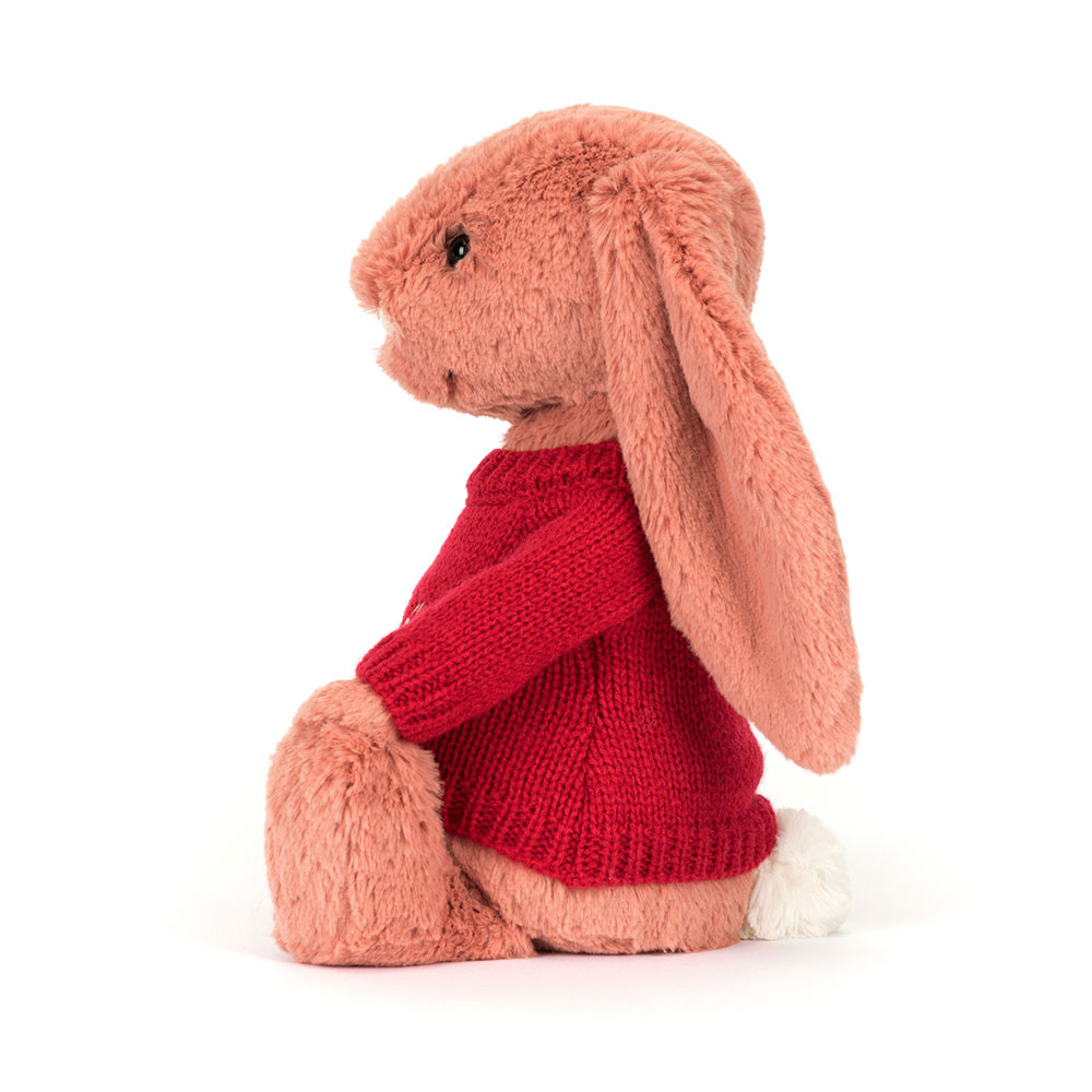 Bashful Sorrel Bunny with Personalised Red Jumper, View 3