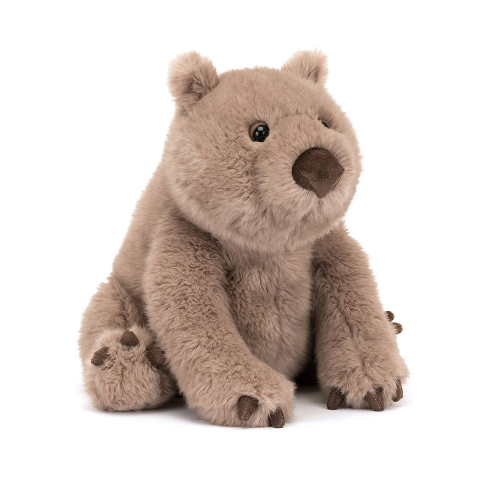 Wonda Wombat, Main View