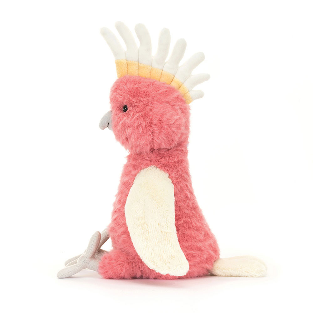 Squawkatoo, View 2