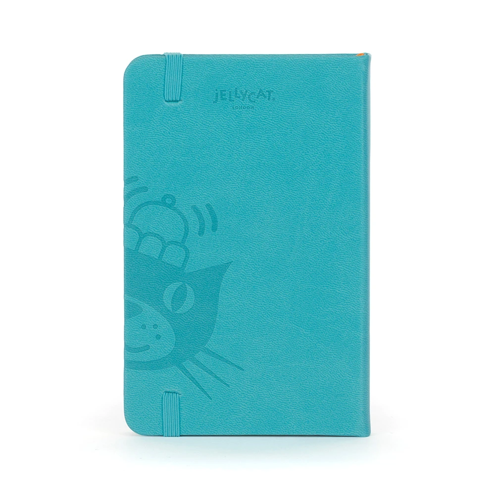 A6 Clear Skies Notebook