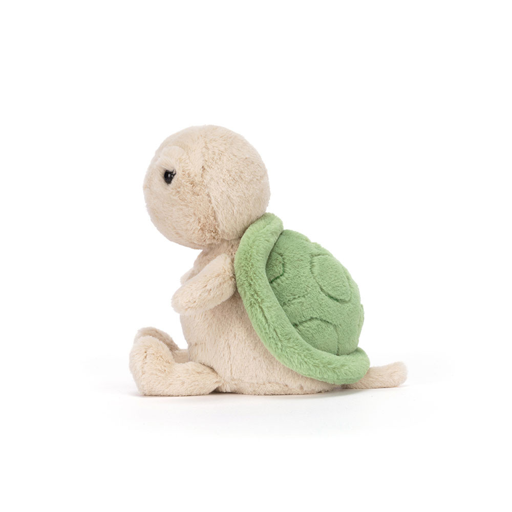 Thimble Turtle, View 2