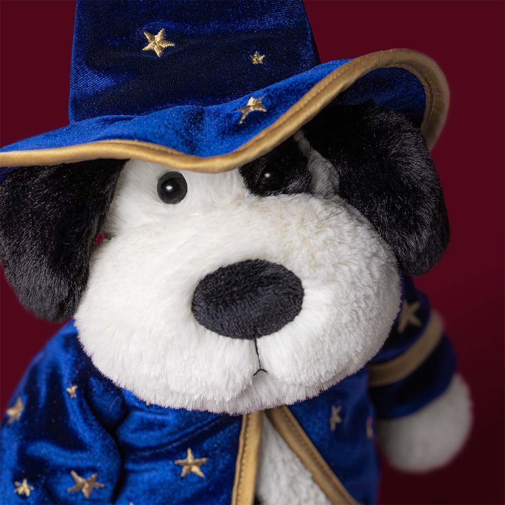 Rufferty Puppy Wizard Outfit, View 1
