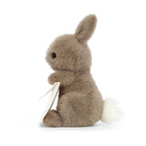 Messenger Bunny, View 2