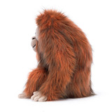 Oswald Orangutan, View 2