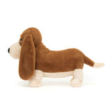 Randall Basset Hound, View 2