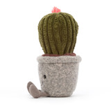 Silly Succulent Barrel Cactus, View 2