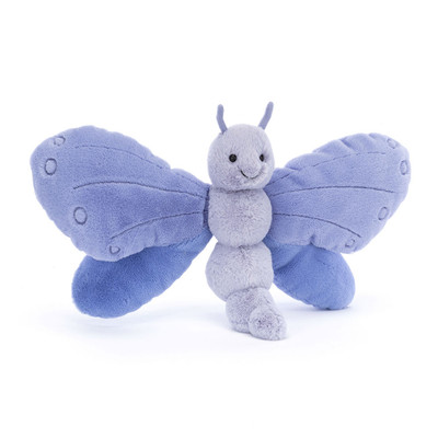 Bluebell Butterfly, Main View