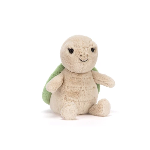 Thimble Turtle, Main View