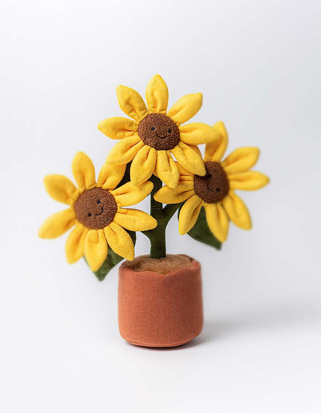 Gifts for Plant Lovers