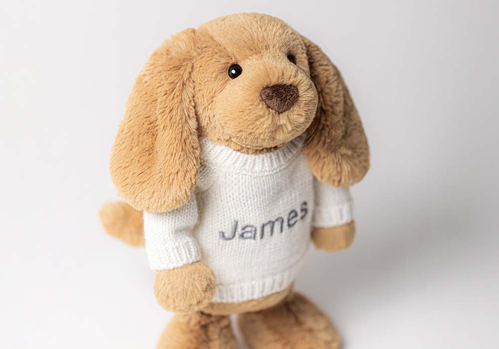 Bashful Puppy with embroidered name on a creme Jumper