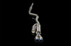ARK Performance DUAL TIP, SINGLE EXIT, 2.5 PIPE 3 TIP Exhaust System/Exhaust Pipe