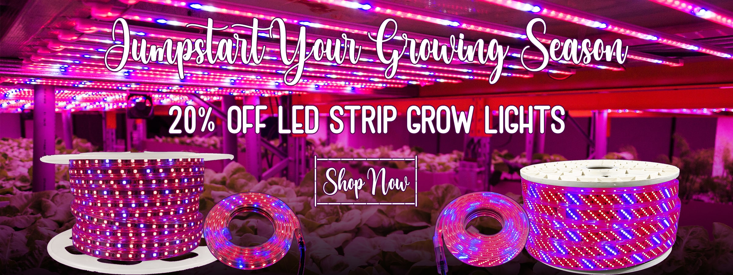 Save 20% on LED Grow Lighting!