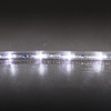 Cool White LED Rope Light - 120 Volt - 148 Foot Spool