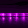 Pink/Fuchsia LED Rope Light - 120 Volt - 148 Foot Spool