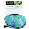 Purple, green, and gold mardi gras rope lights and packaging