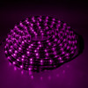 Purple LED rope light glowing in a spiral against a dark background
