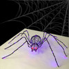 3D LED Lighted Halloween Spider Motif - Purple and Red - 60 Inch