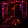 Orange and Purple M5 LED String Lights - 70 Bulb Mini Light Set - 23.5 Feet