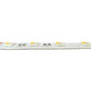 RGBW Color Changing LED Strip Light - 24 Volt - High Output (SMD 2450) - Indoor/Outdoor Use (IP20 or IP65) - 32.8 Foot Bundle