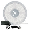Cool White LED Strip Light - 24 Volt - High Output (SMD 3528) - Indoor/Outdoor Use (IP20 or IP65) - 32.8 Foot Bundle